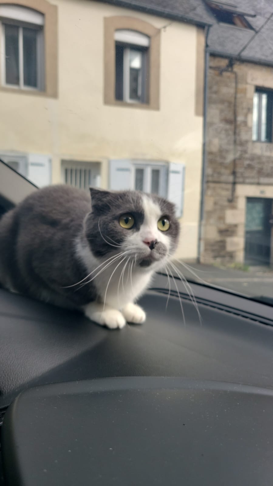 Le carnet de voyage de Pouki